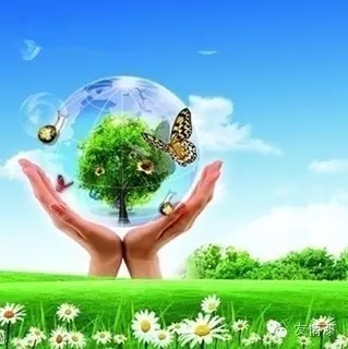 品牌創(chuàng)造價值 品牌創(chuàng)造價值